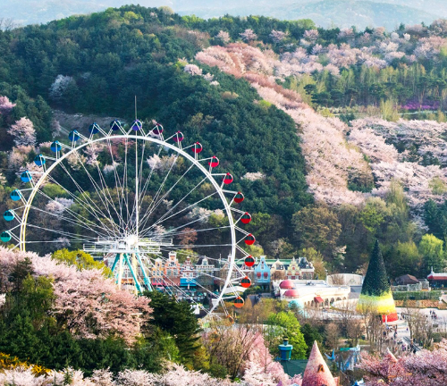 활기찬 놀이공원